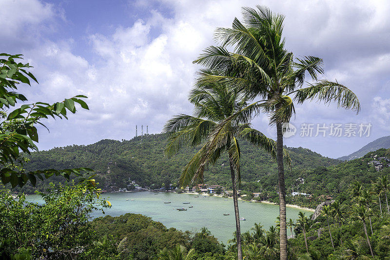 Koh Tao, John Suwan观点泰国